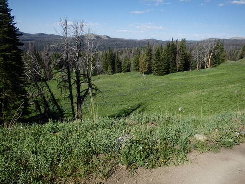 GDMBR: View southwest.